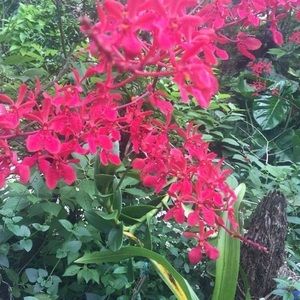 Meet your Posher, Alma